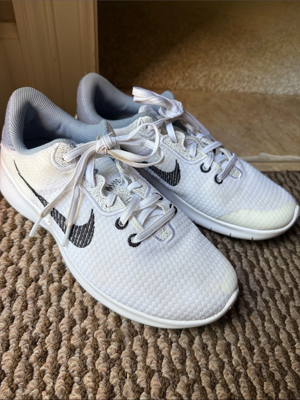 Nike Flex Experience Run Shoes